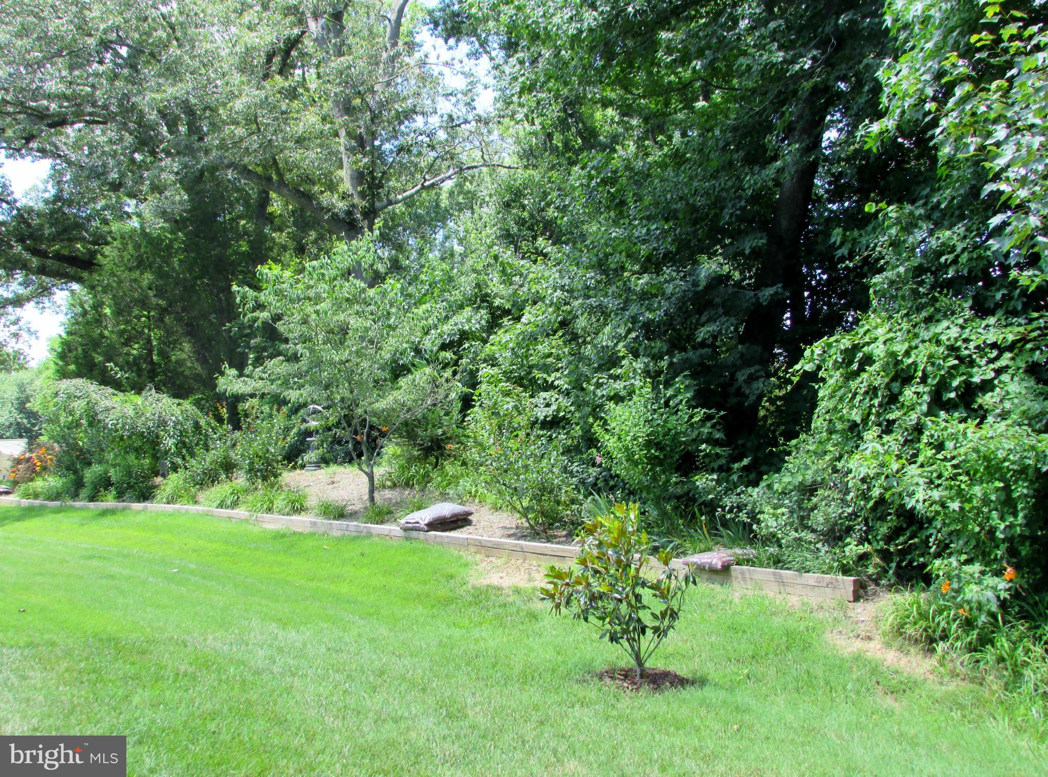 LEGACY WOODS - Residential