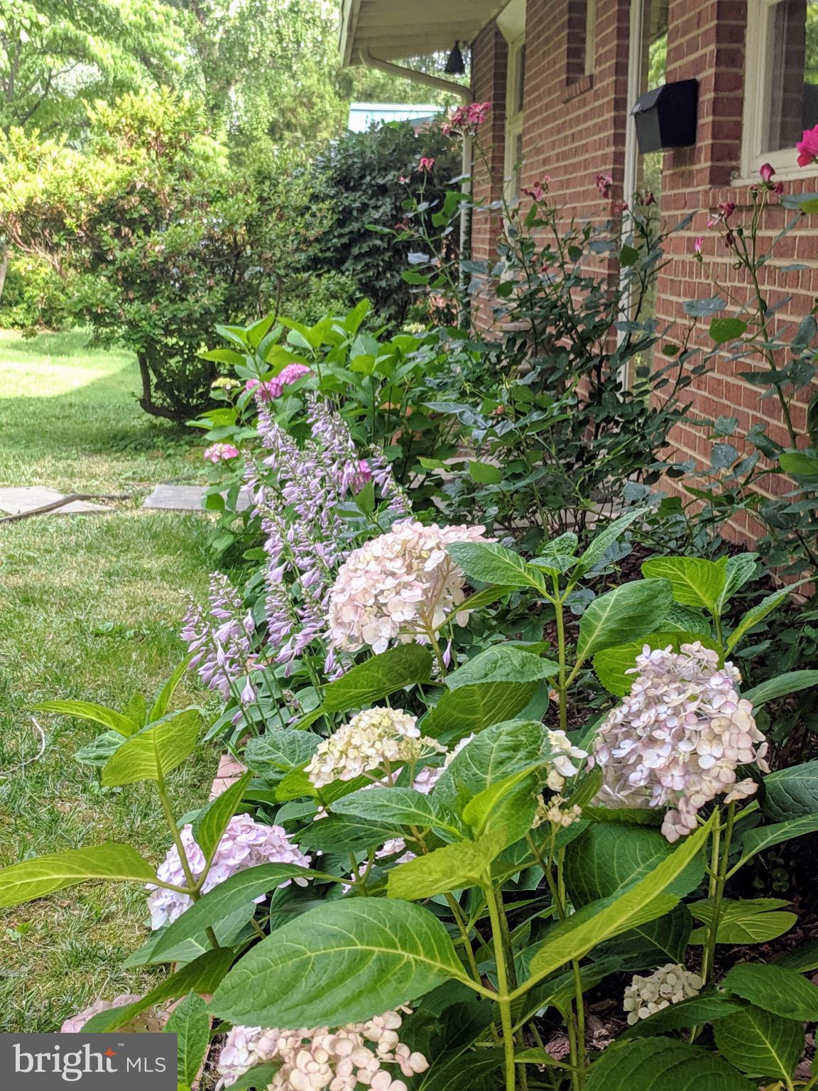 GRASS RIDGE - Residential Lease