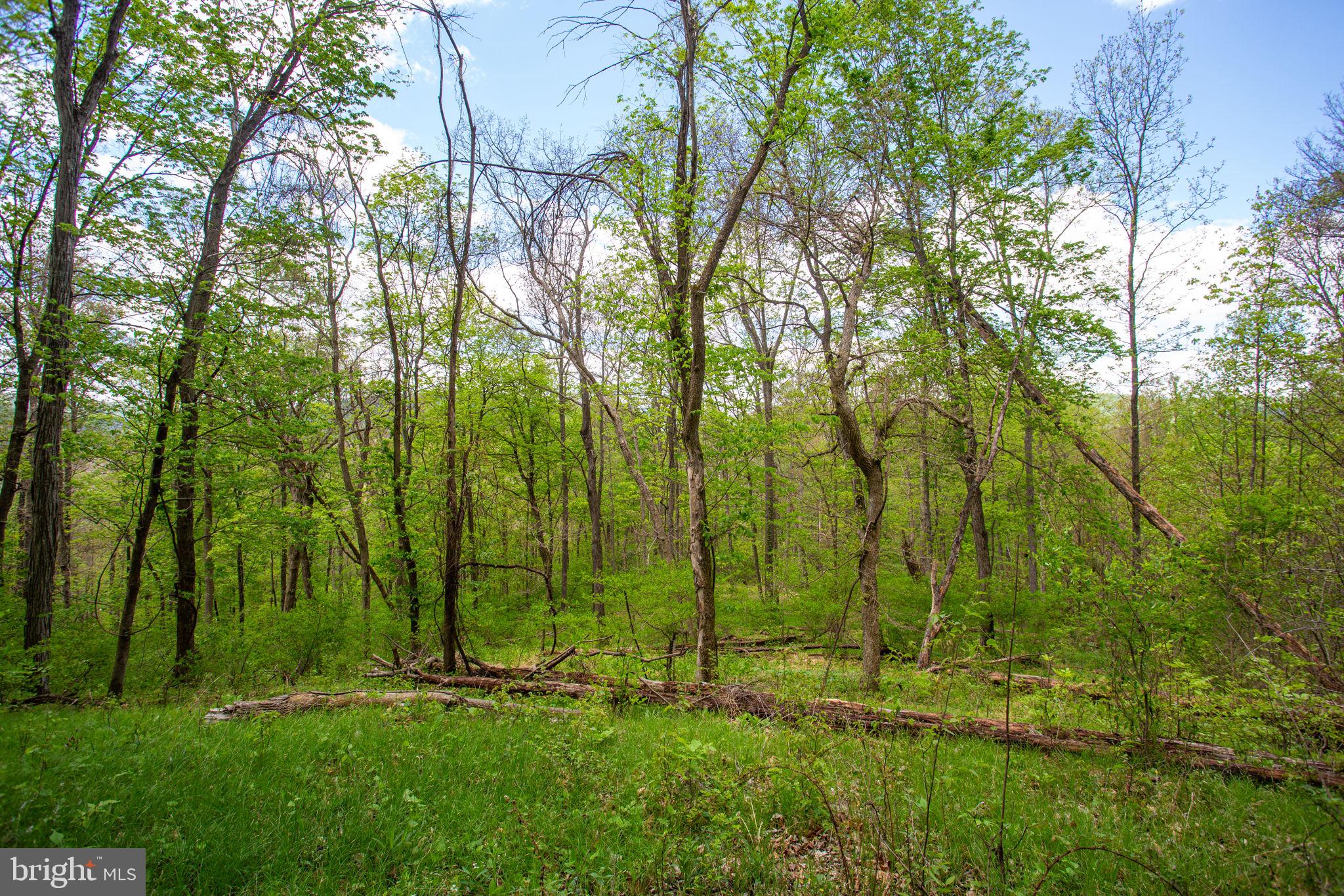 0 CHURCH MOUNTAIN LANE