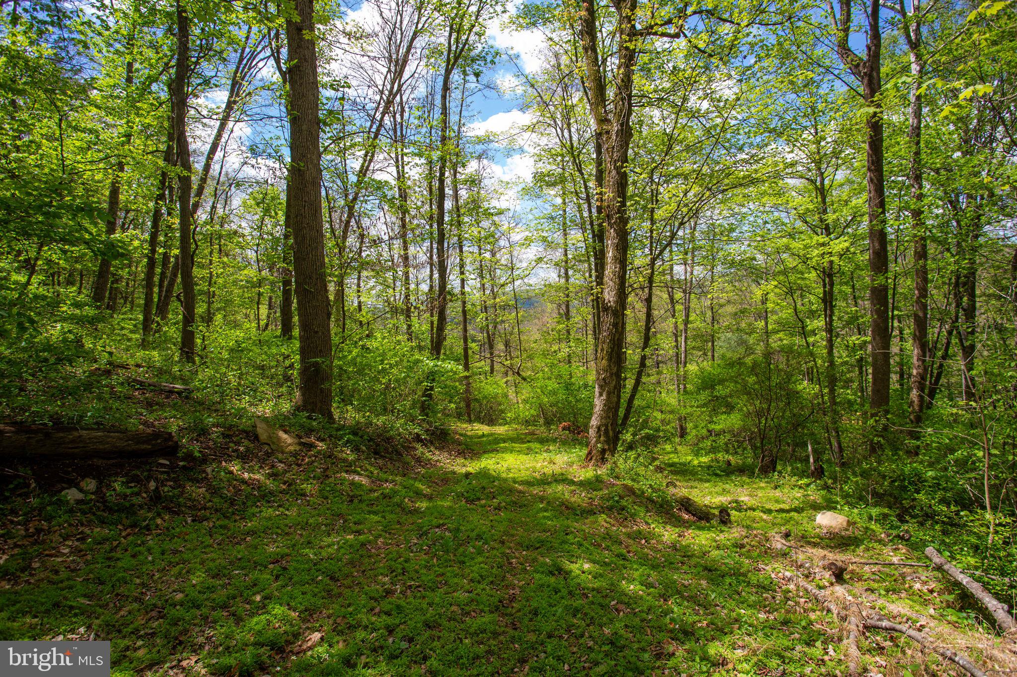 0 CHURCH MOUNTAIN LANE
