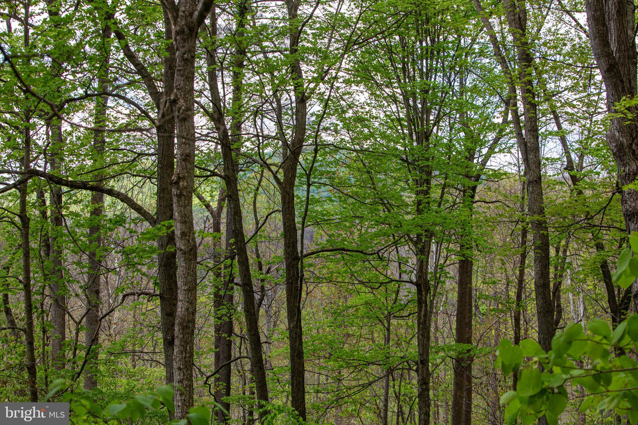 0 CHURCH MOUNTAIN LANE