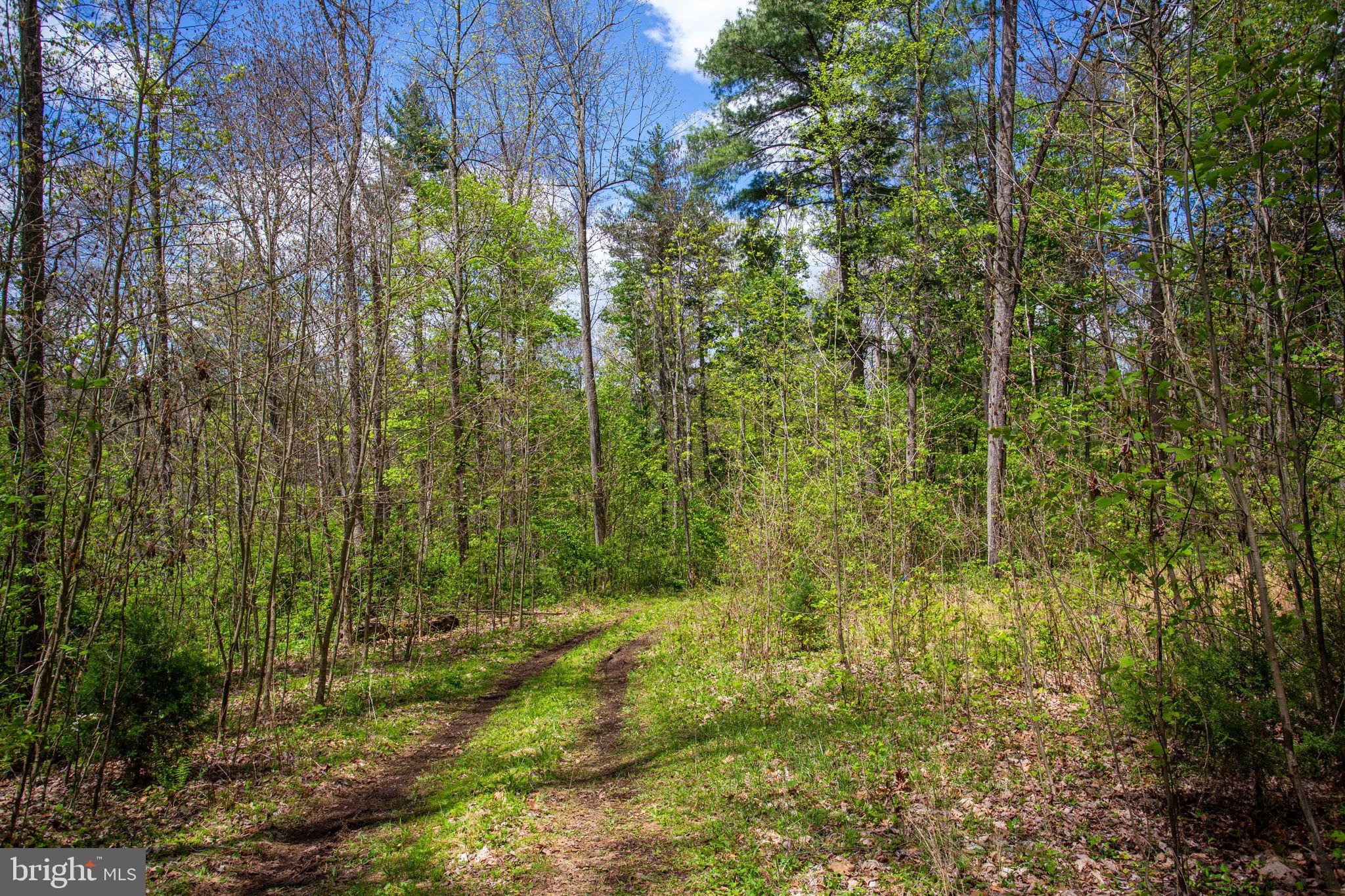0 CHURCH MOUNTAIN LANE