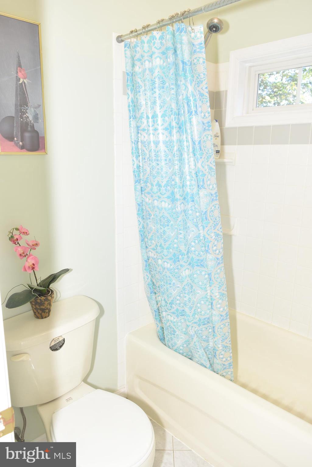 LEWIS PARK - Residential