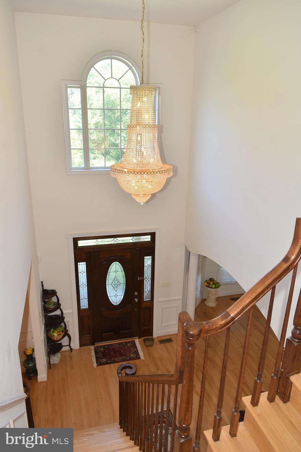 LEWIS PARK - Residential