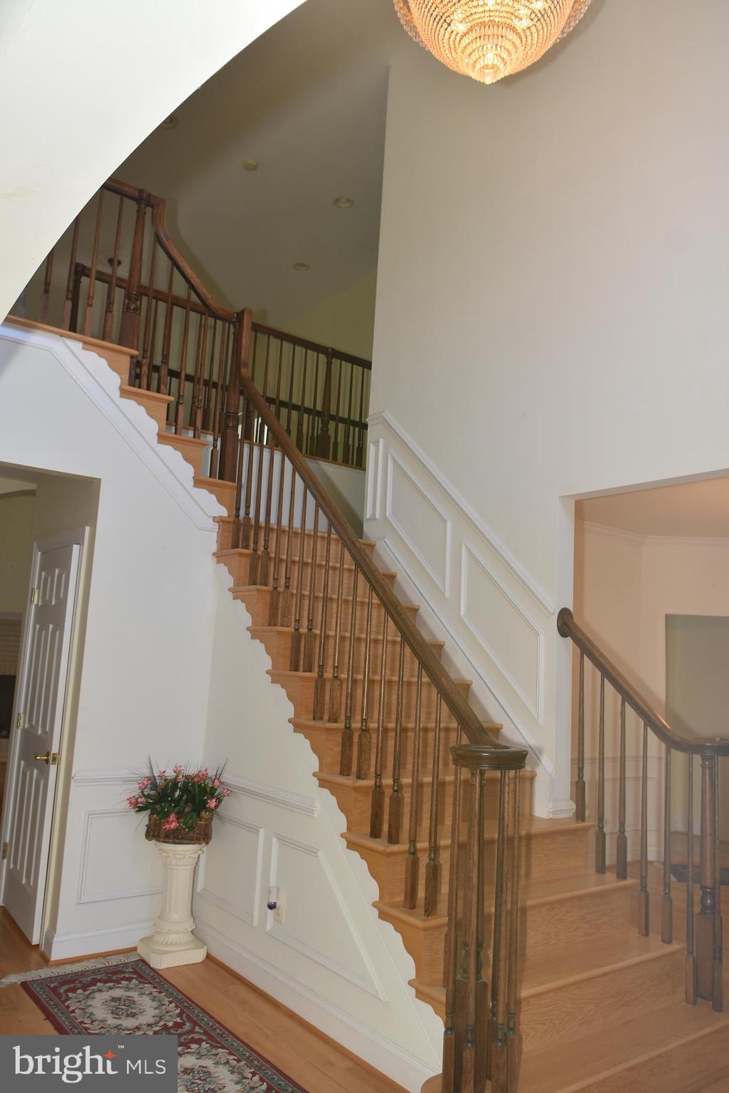 LEWIS PARK - Residential