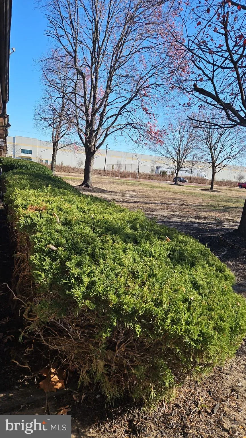 Burlington, New Jersey 08016, United States, 1 Bedroom Bedrooms, ,1 BathroomBathrooms,Residential,Contingent,80591