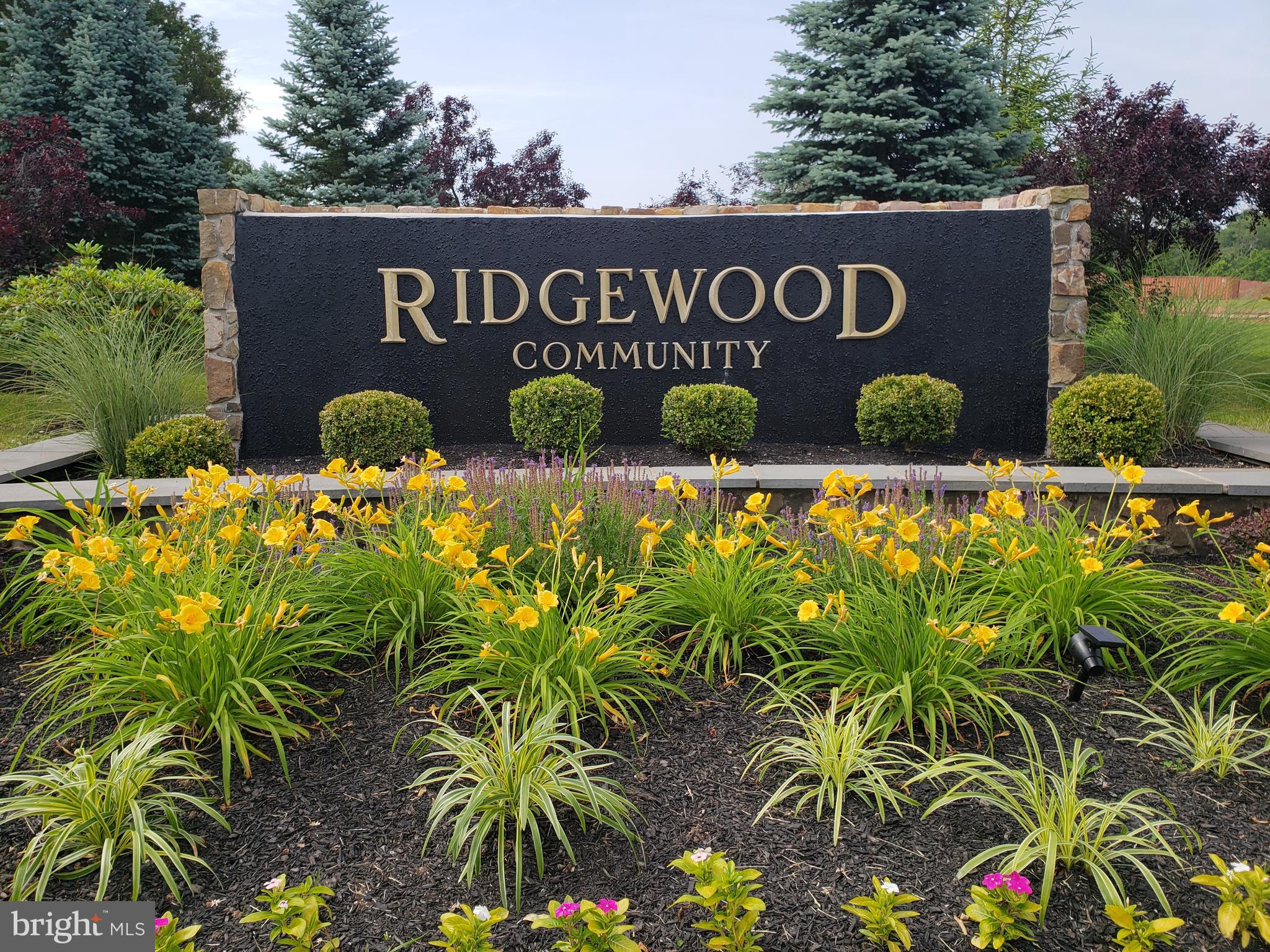 ENCLAVE AT RIDGEWOOD - Residential