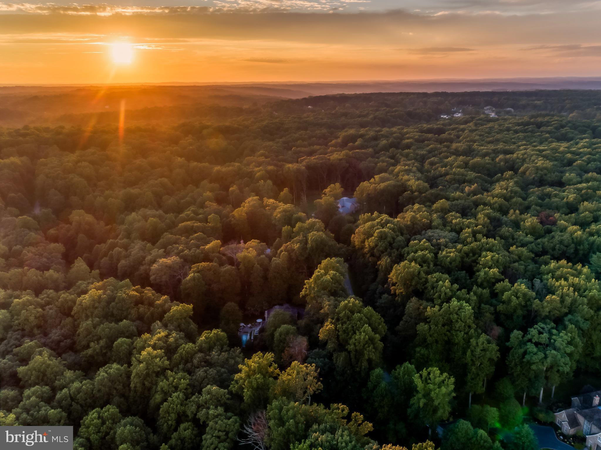 CAVES VALLEY GOLF CLUB - Land