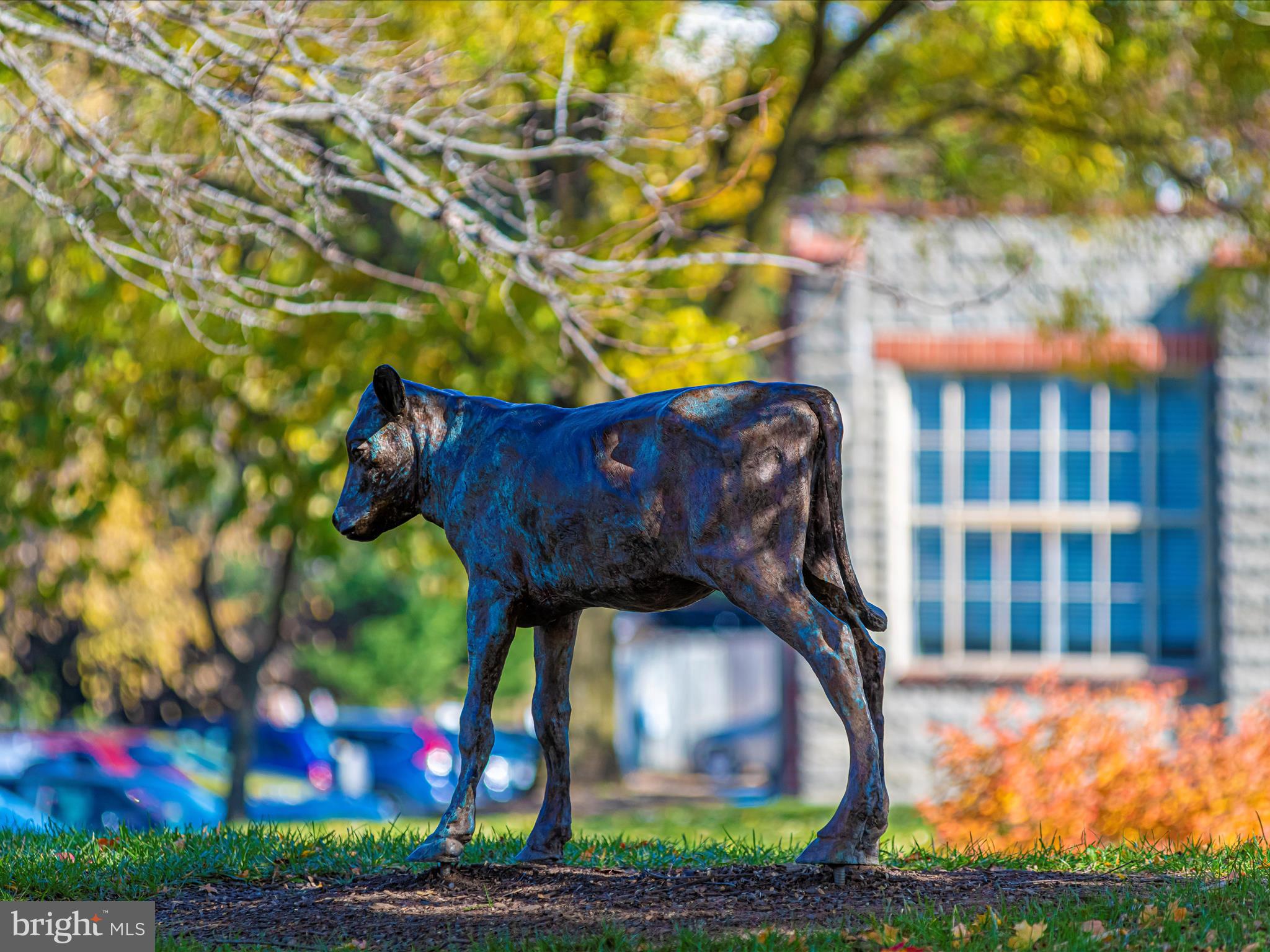 DOWNTOWN FREDERICK - Residential