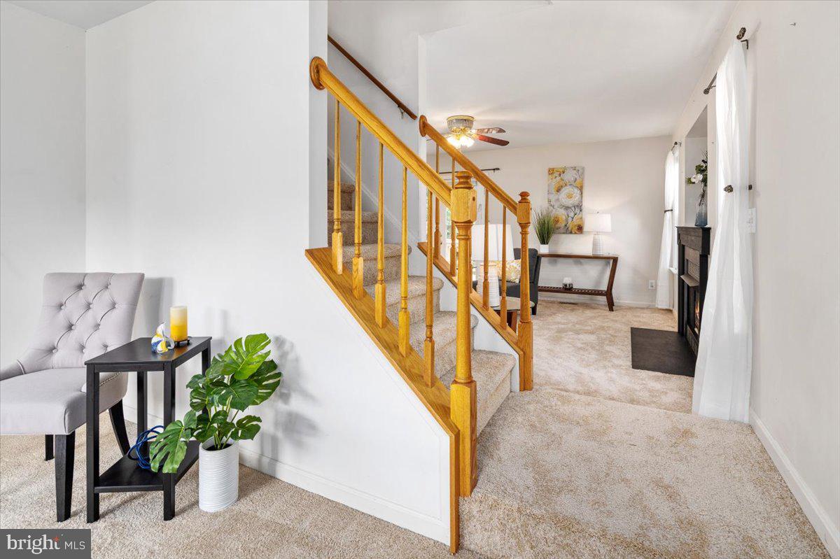 LANCASTER GATE - Residential