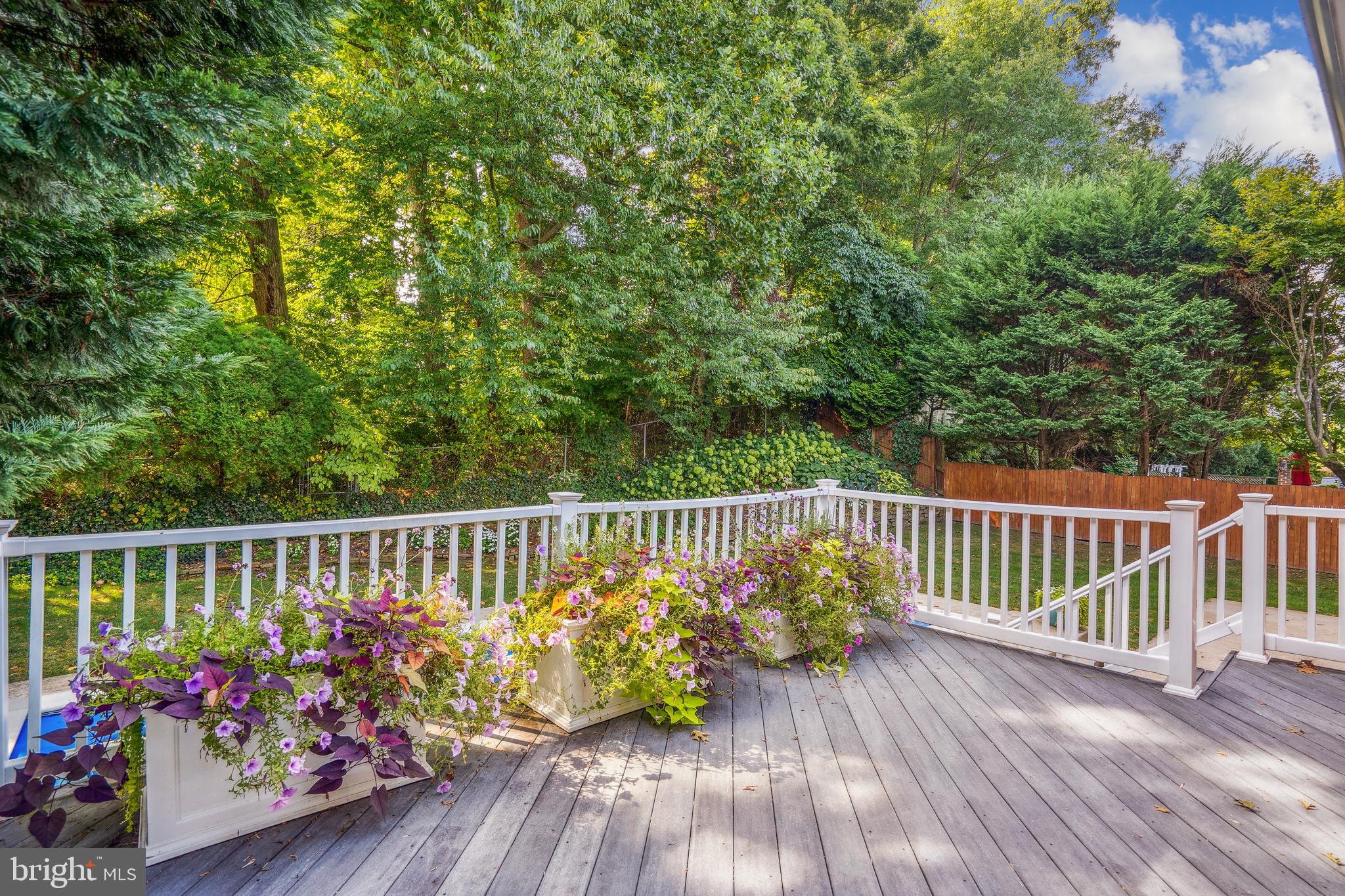 KENWOOD PARK - Residential