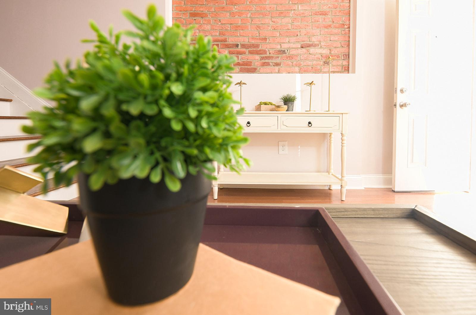 BIDDLE STREET - Residential