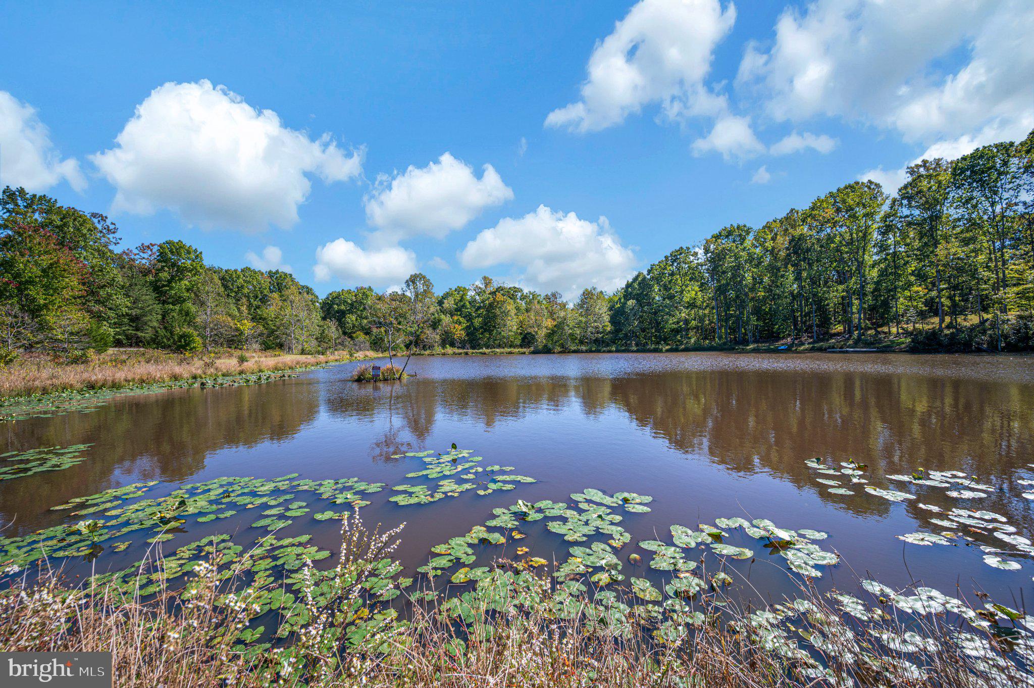 2169 BEAVER DAM ROAD