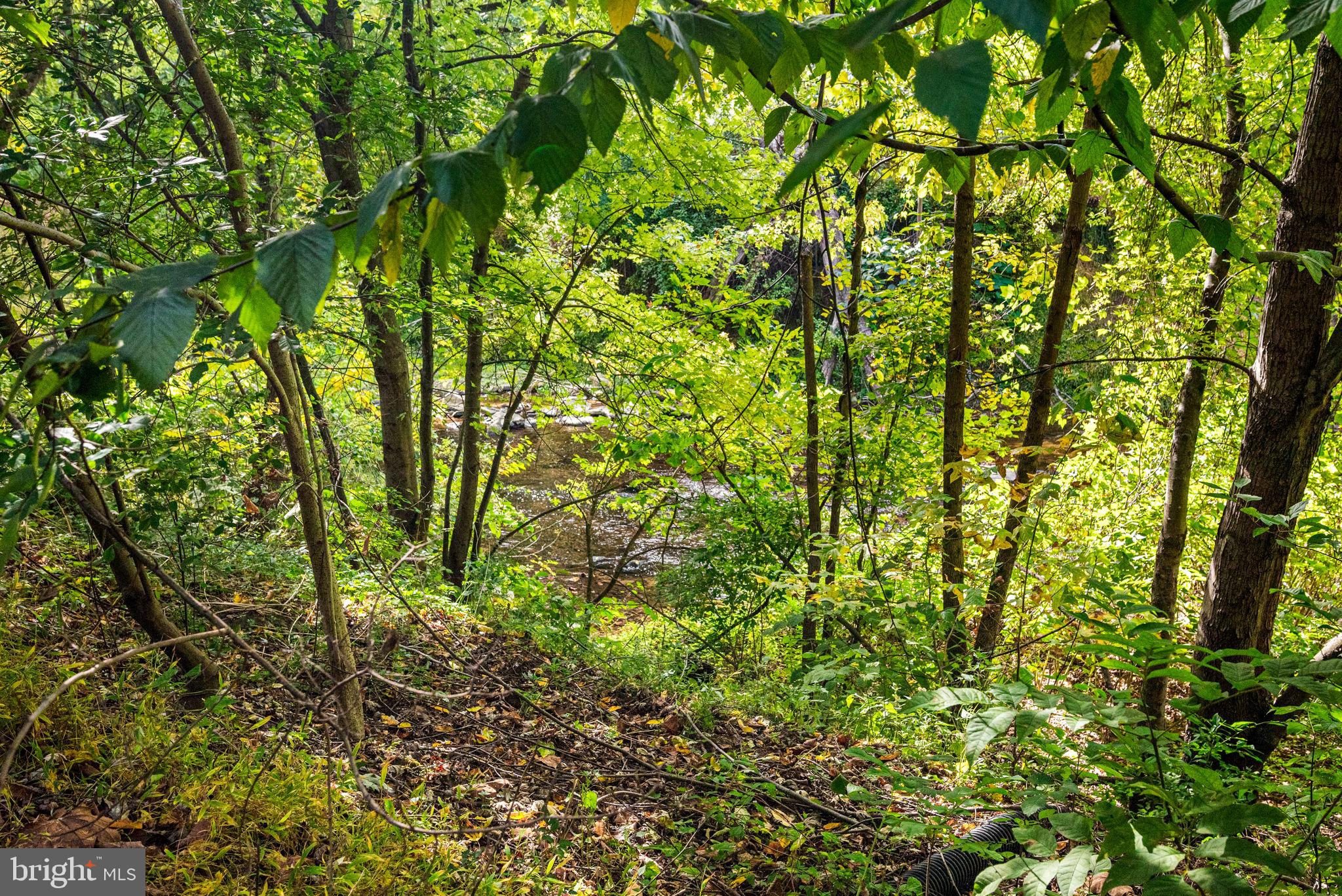 THE MILLS AT ROSE - Residential