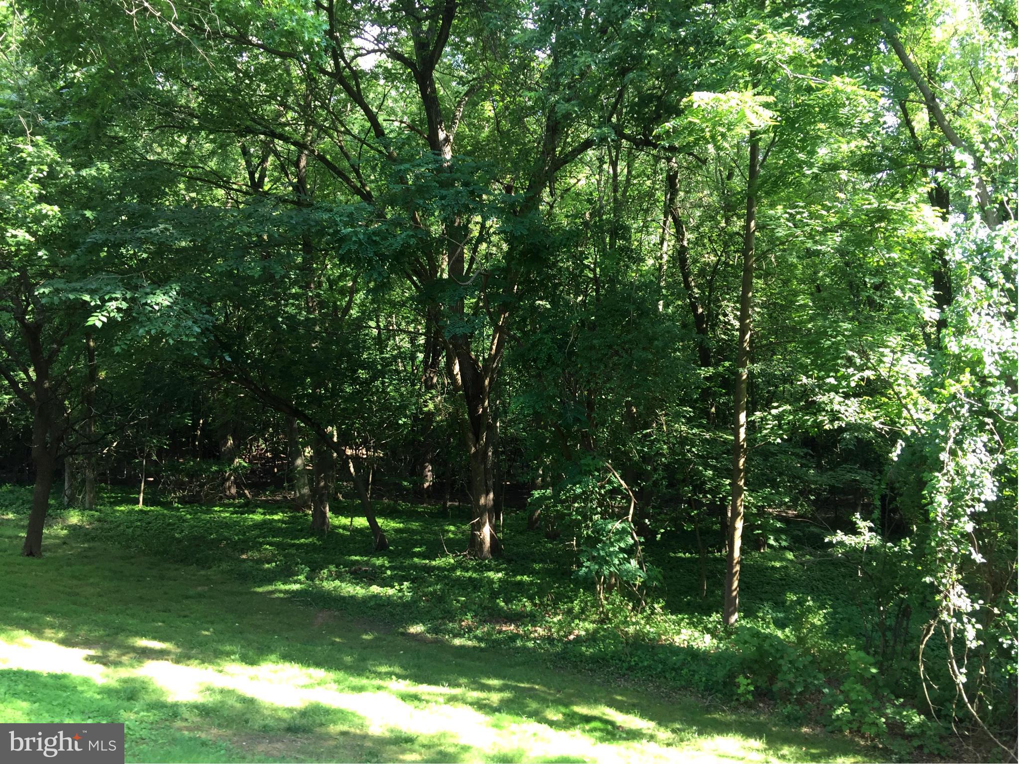 BEDFORD COMMONS - Residential Lease