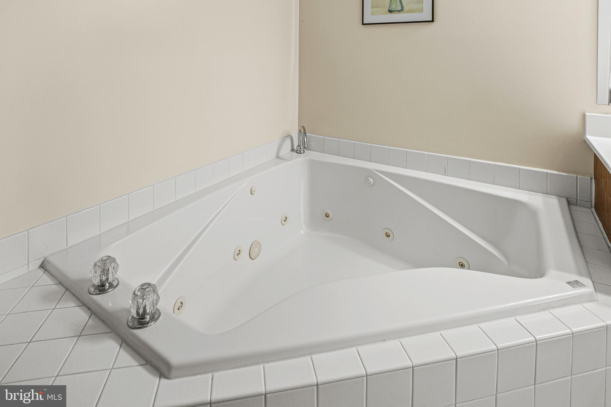 VILLAGE OF HICKORY RIDGE - Residential