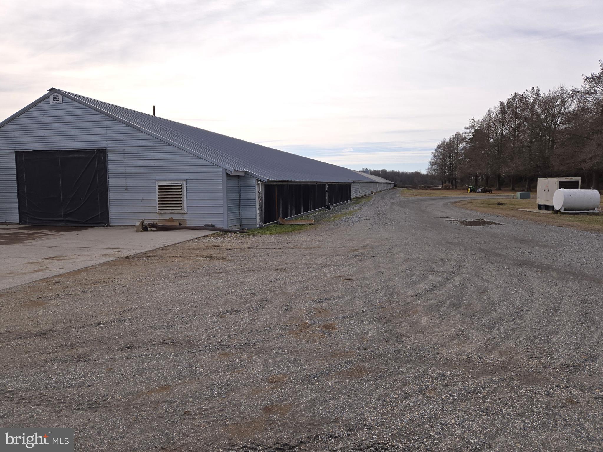 NONE AVAILABLE - Farm