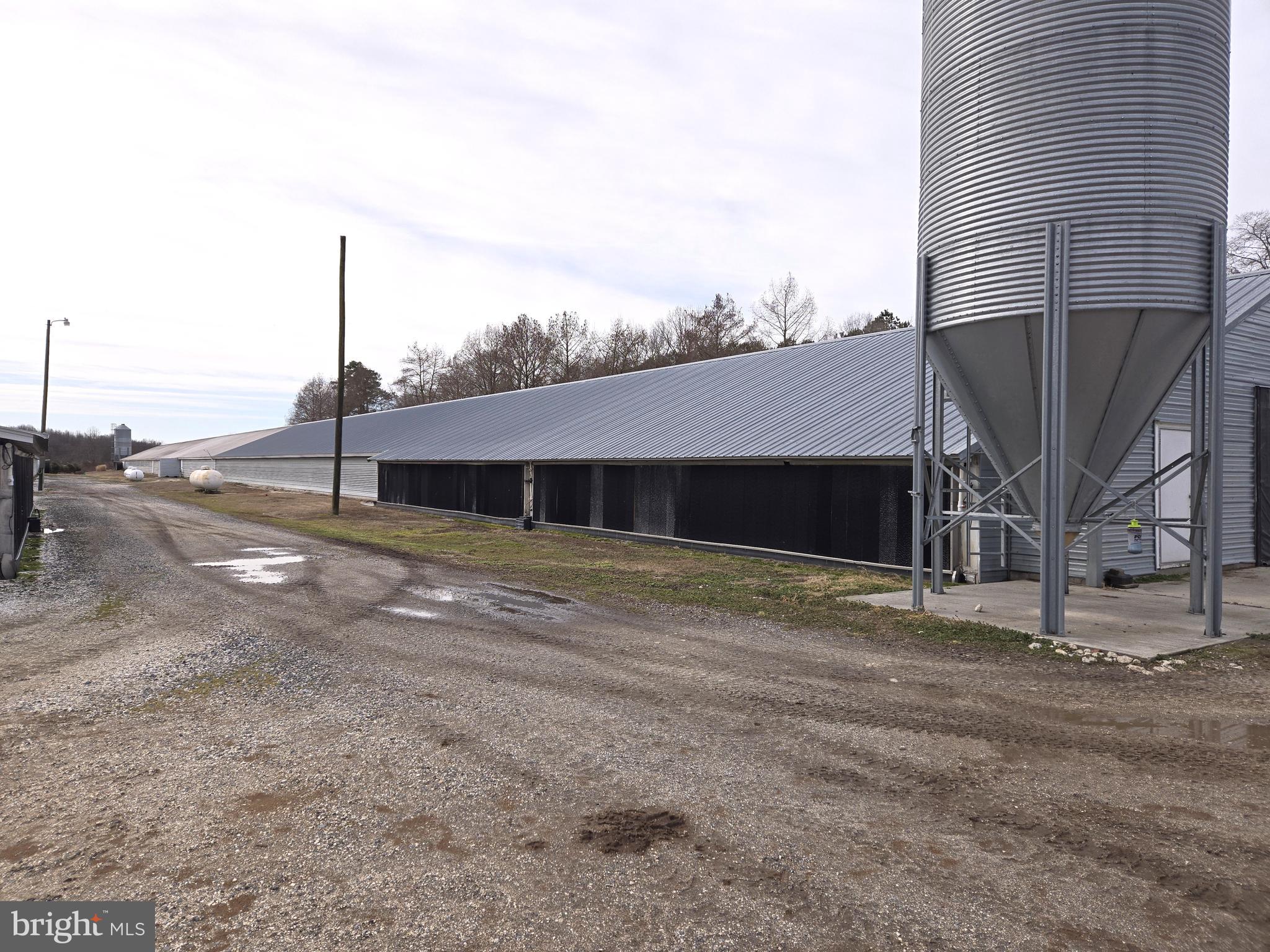 NONE AVAILABLE - Farm