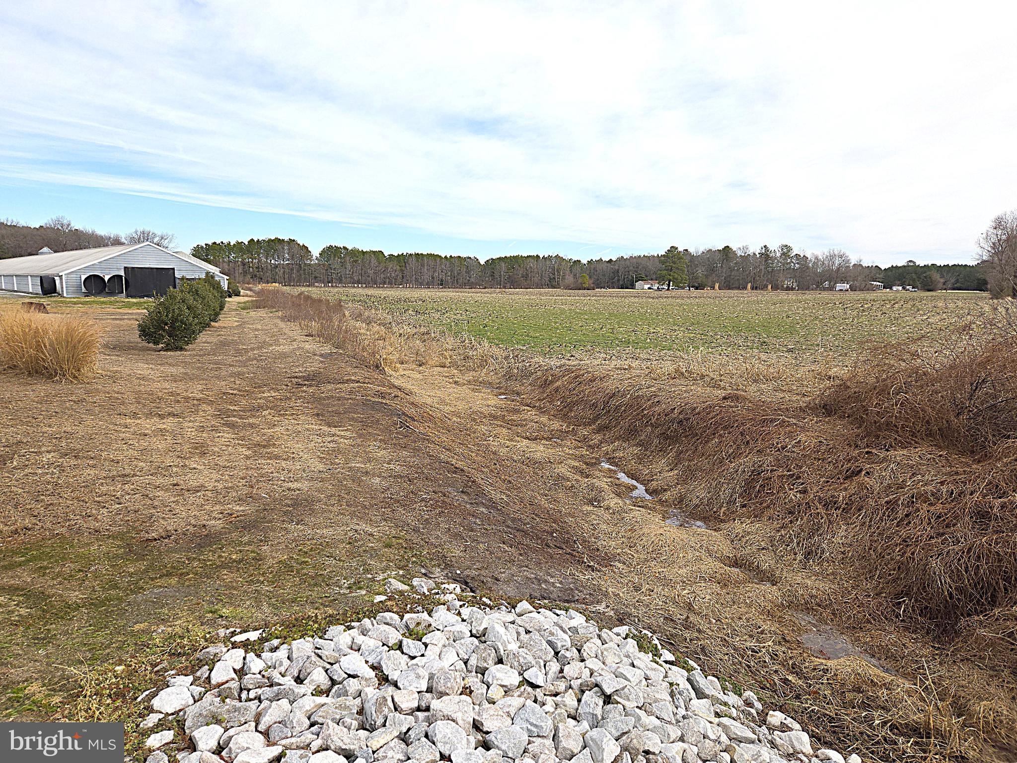 NONE AVAILABLE - Farm