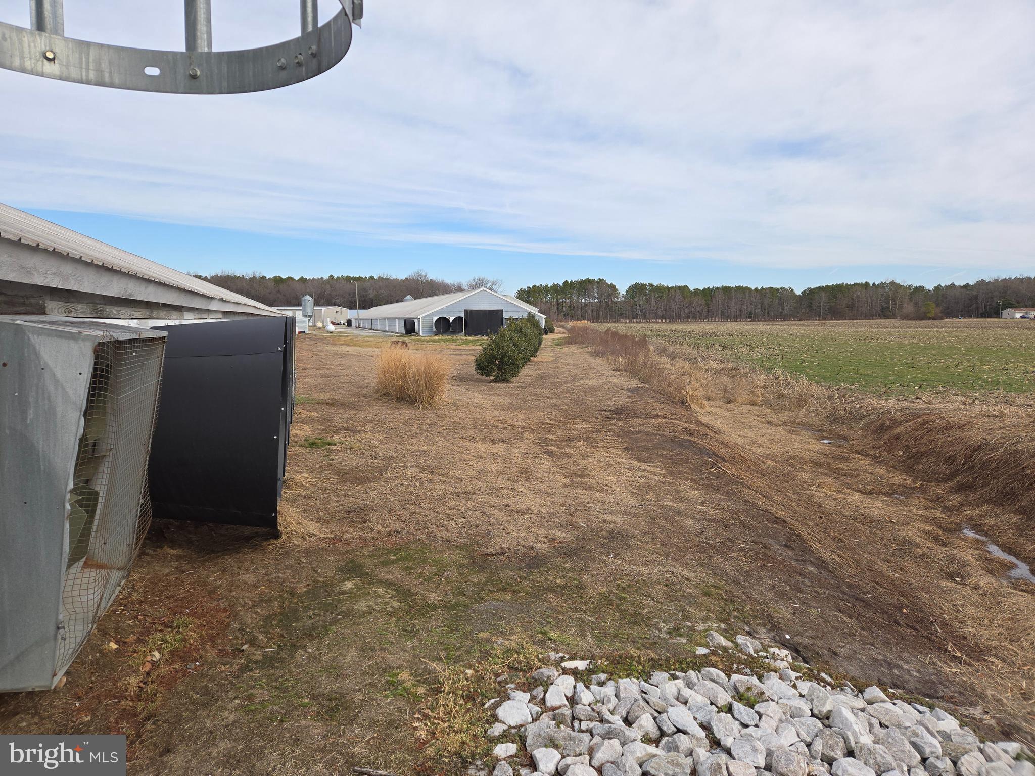 NONE AVAILABLE - Farm