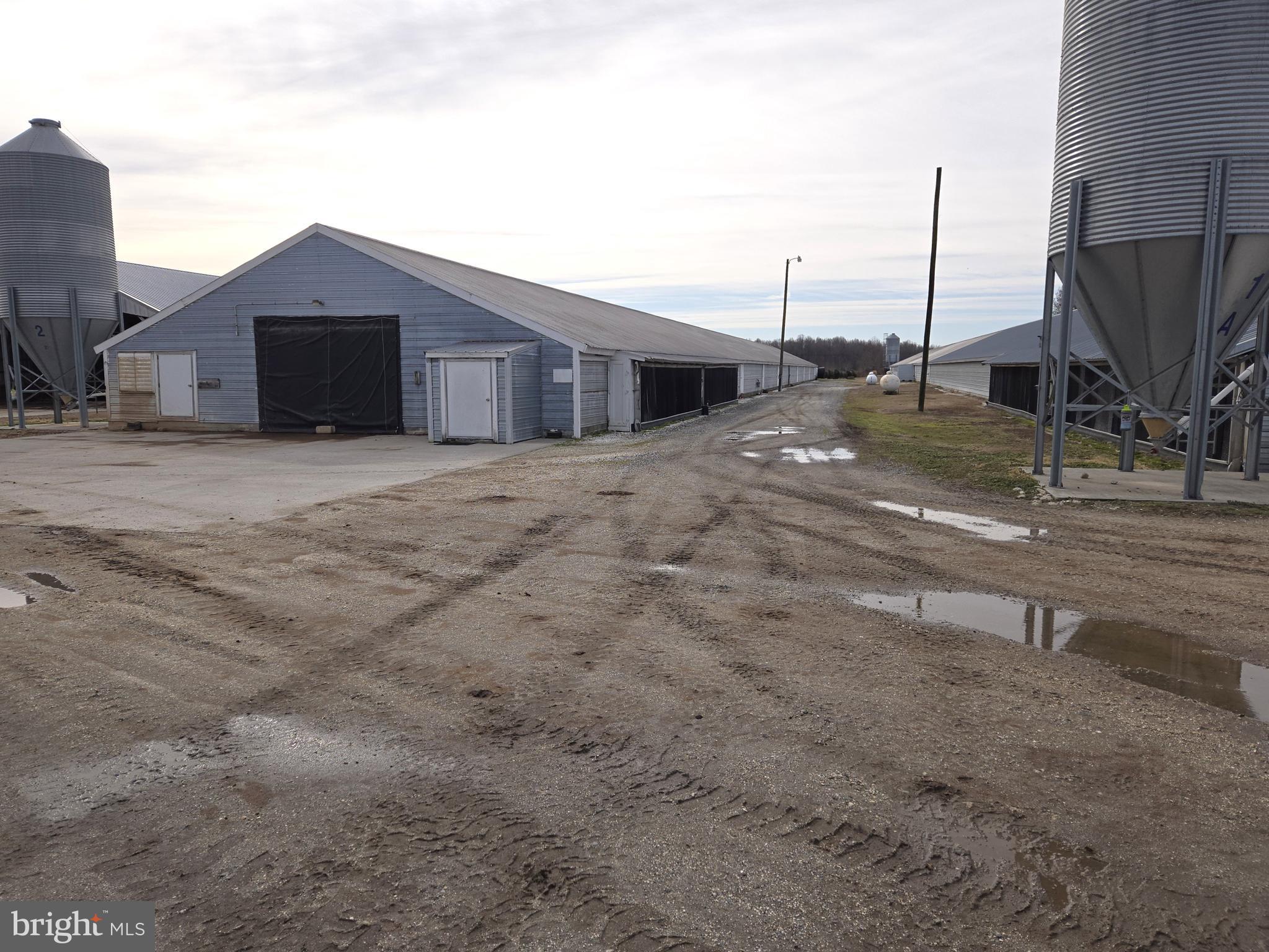 NONE AVAILABLE - Farm