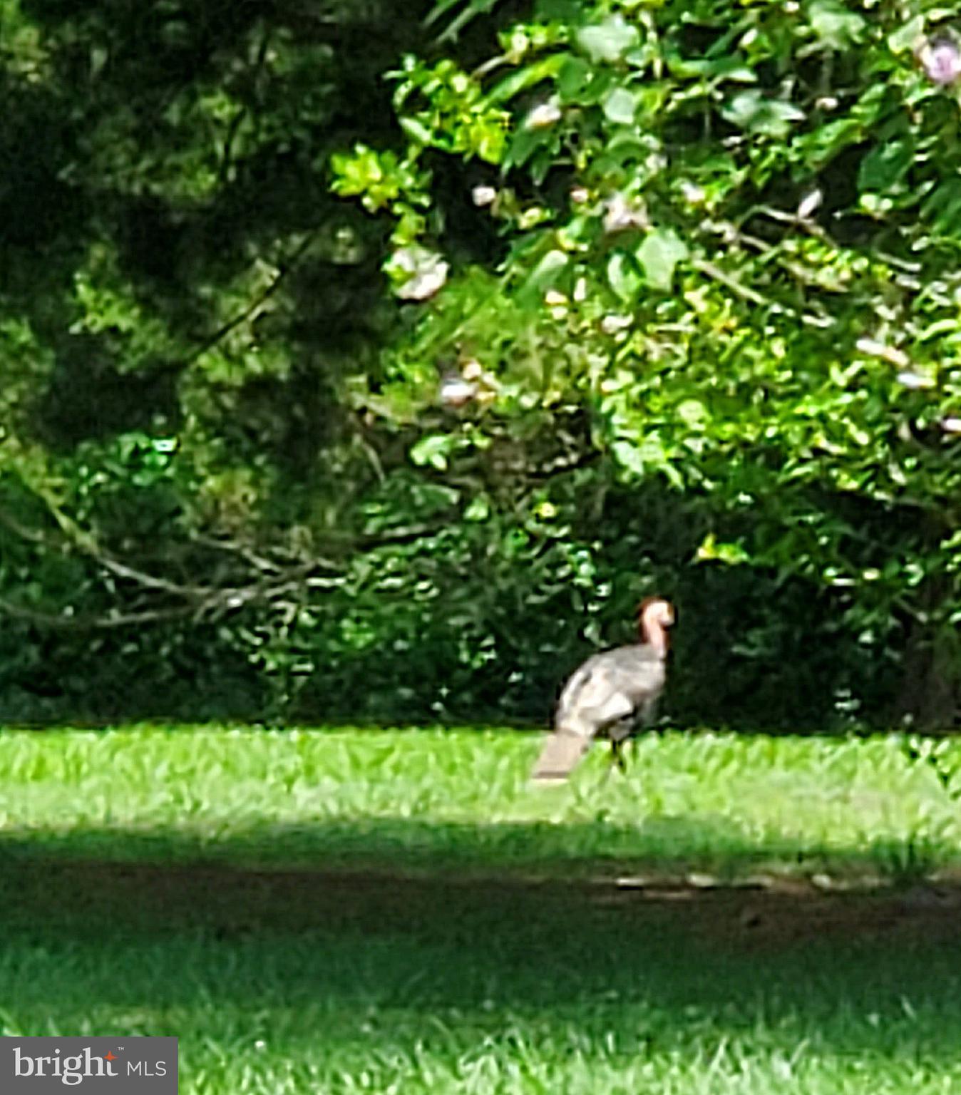 BROAD CREEK - Residential Lease