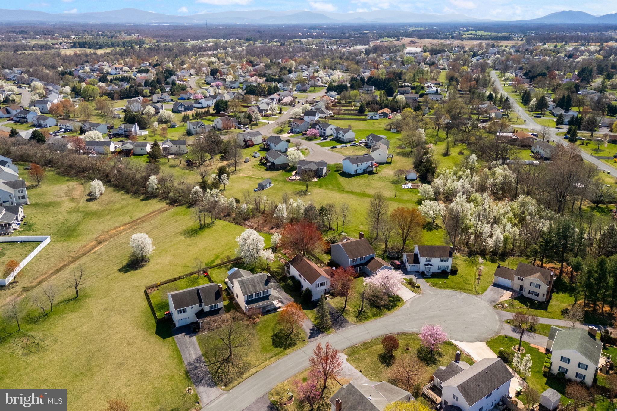 ALBIN VILLAGE - Residential