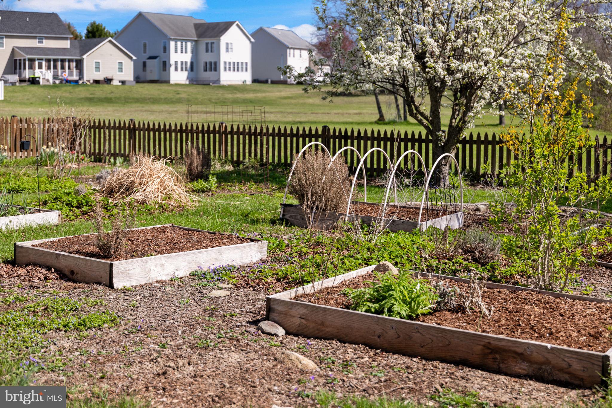 ALBIN VILLAGE - Residential