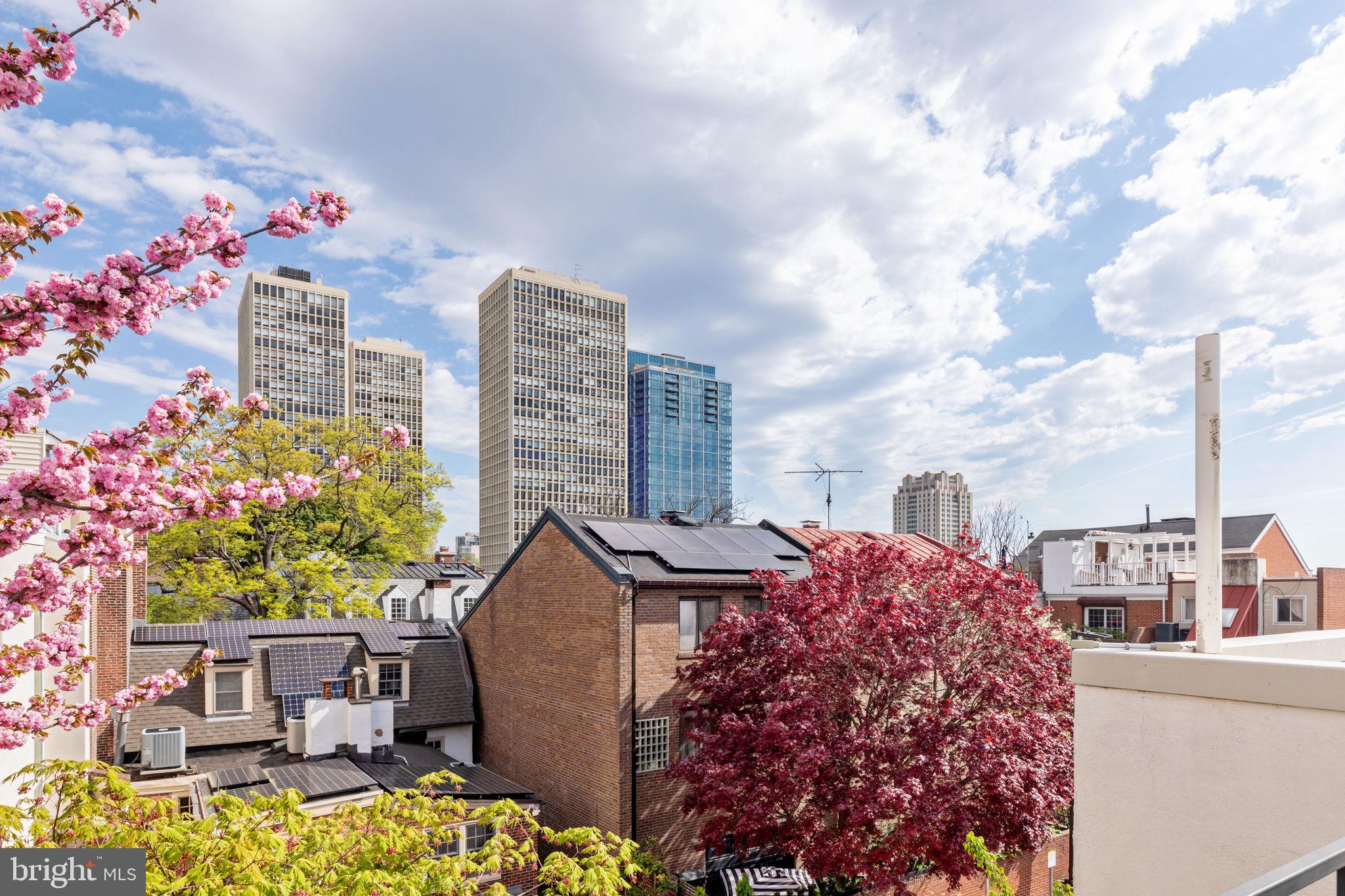 SOCIETY HILL - Residential