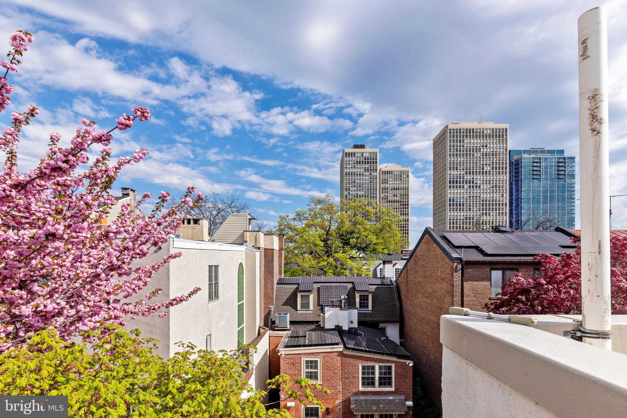 SOCIETY HILL - Residential