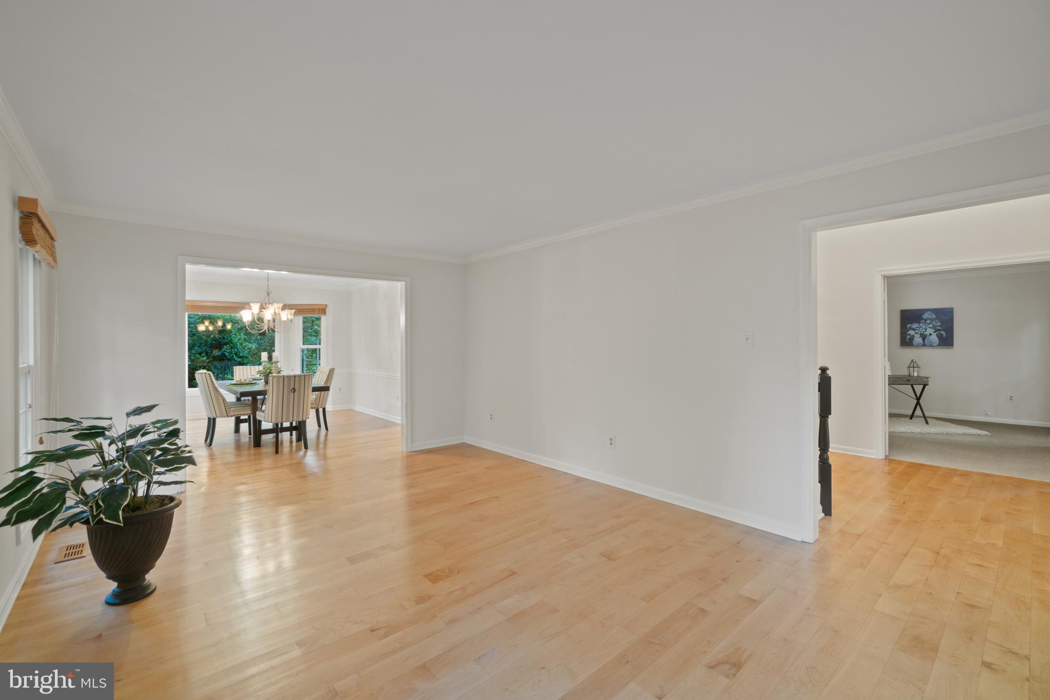 PLEASANT PLAINS - Residential