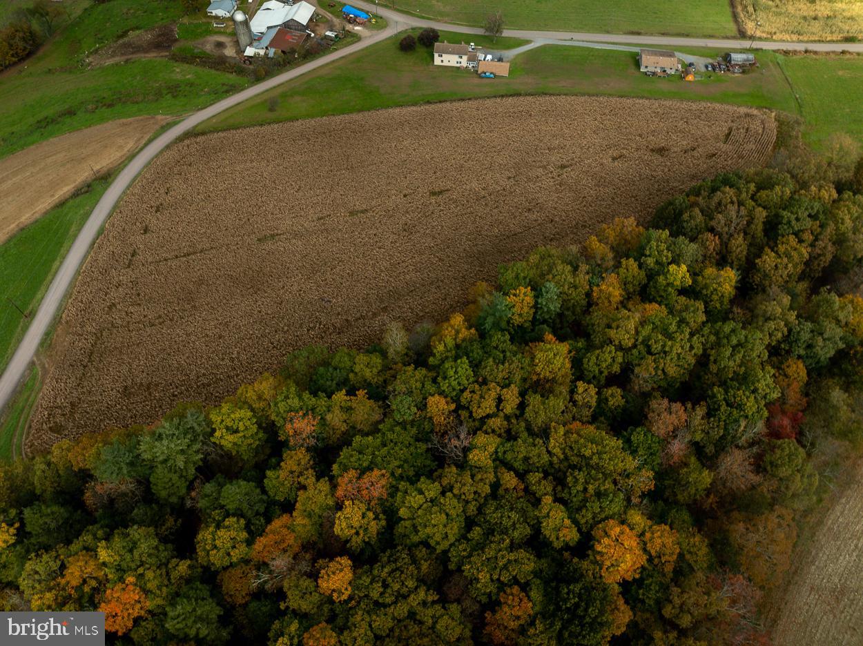 NONE AVAILABLE - Land