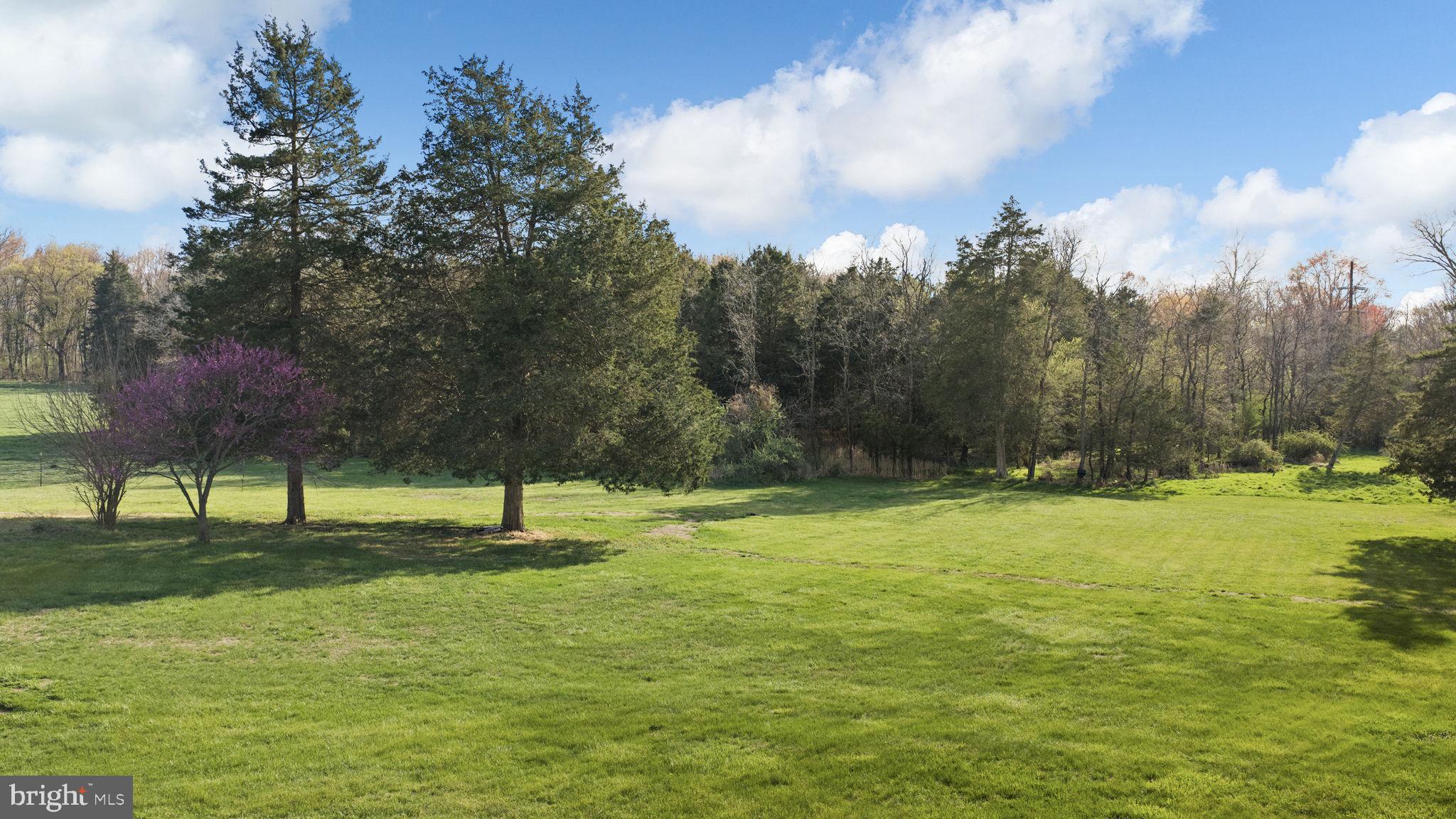 SOUTH FORTY - Residential