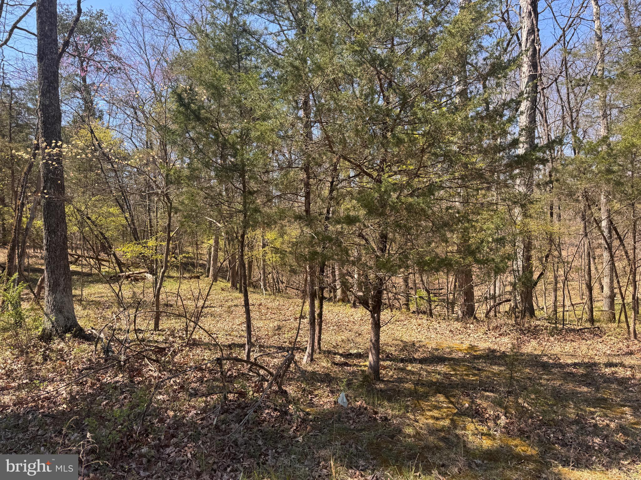 🌲 5 Acres of Prime Land – Shepherdstown, WV just over onto the Berkeley County border.🌲
Looking to build your dream home or invest in a peaceful getaway? This beautiful 5.002-acre lot—Lot 61-A of the Snook Subdivision—offers the perfect blend of seclusion and accessibility in scenic Berkeley County.
🛤️ Property Highlights:
5.002 Acres nestled among mature trees and gently rolling terrain with lots of paw paw and red bud trees
Approved for a single-family home with proposed house and well locations already noted on the official plat
Existing septic permit and proposed driveway access from Scrabble Road
Just minutes from the Potomac River, providing great opportunities for recreation and relaxation
Surrounded by rural charm yet close to downtown Martinsburg, I-81, and the MARC train.
🌿 Natural Beauty:
Wander through wooded trails, enjoy the privacy of your own piece of West Virginia wilderness, and wake up to birdsong and sunshine filtering through the trees. This lot has a serene and untouched feel—ideal for anyone craving space, peace, and the outdoors.
🛠️ Ready for Development:
Property surveyed and platted
Sewer and utility easements already in place
Lot lines defined, with excellent road frontage on Scrabble Road
Whether you're building your forever home, a cabin retreat, or holding it as an investment—this is a opportunity to own a slice of wild and wonderful West Virginia.
📍 MLS/Parcel Reference: Lot 61-A | Tax Map 9, Parcel 10.1
📄 Final Plat Approved 12/11/1998 | Survey by Gerald A. Cump & Associates