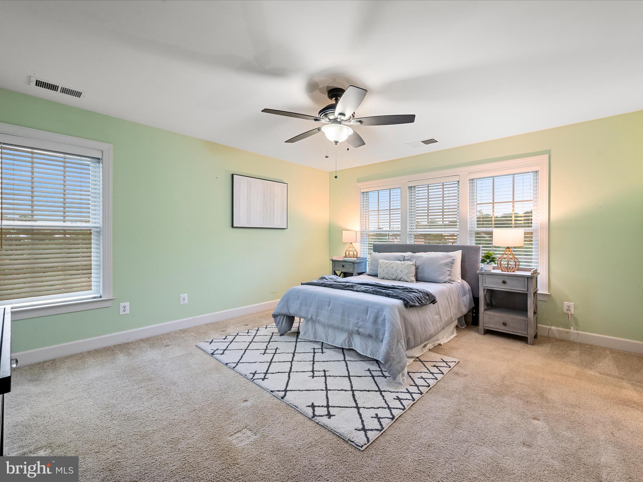 GREENE MILL PRESERVE - Residential