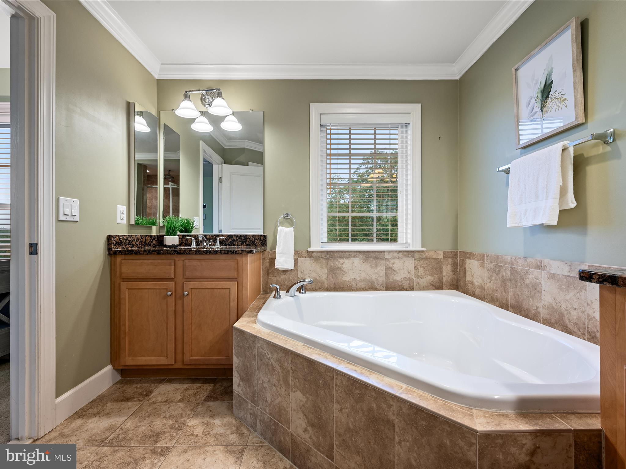 GREENE MILL PRESERVE - Residential