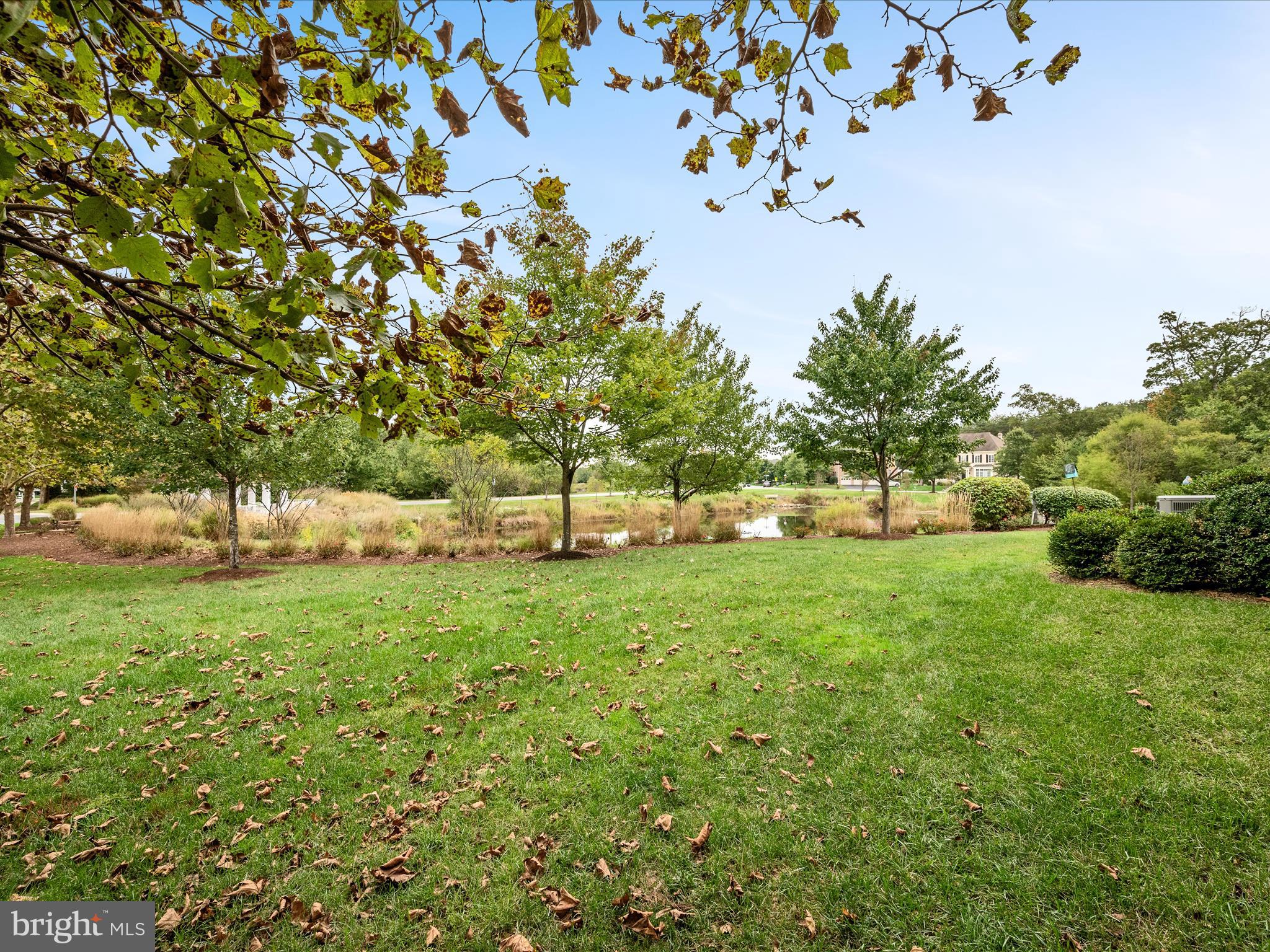 GREENE MILL PRESERVE - Residential