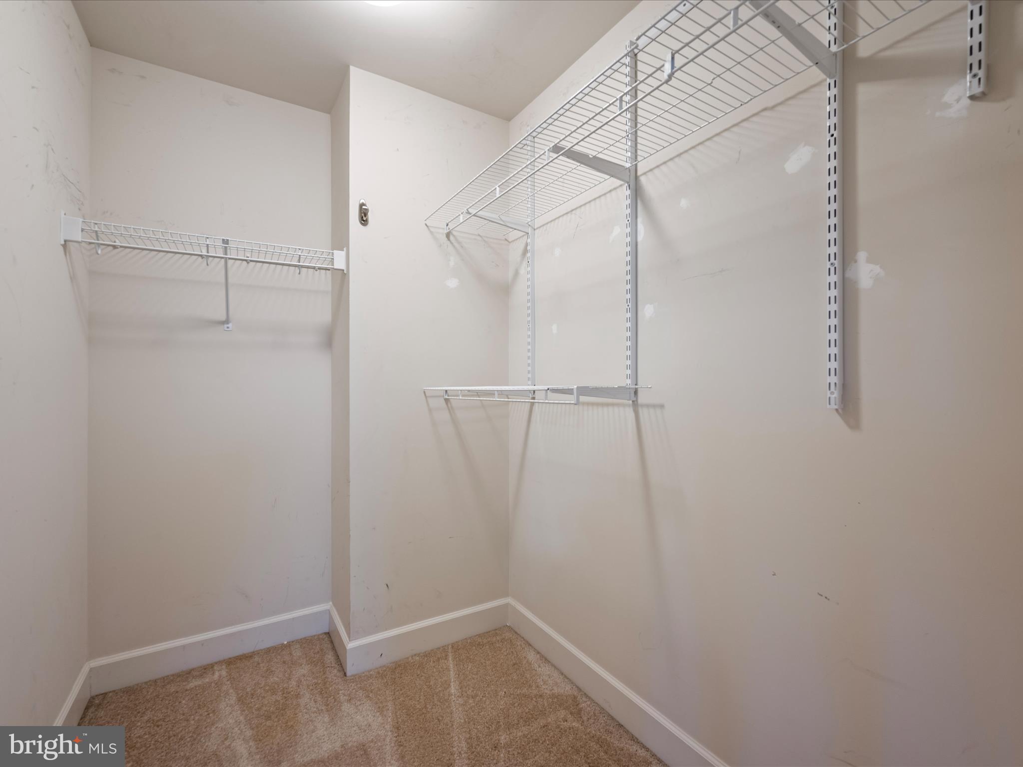 GREENE MILL PRESERVE - Residential