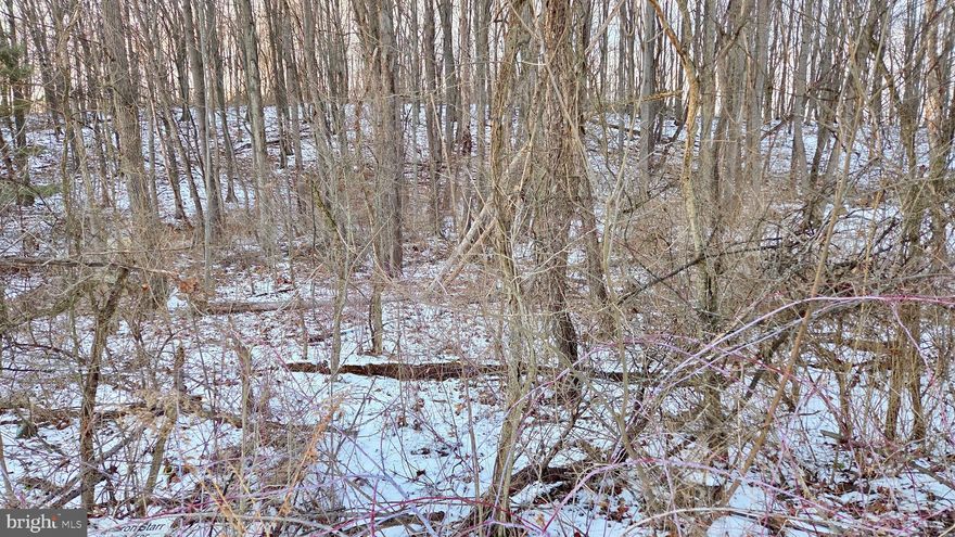 This property is a vacant lot awaiting your personal touch of home to bed added. The property is a vacant land with the address to the RIGHT being 138 Foxglove Road Altoona, PA 16601. The address of the property to the LEFT is 125 Foxglove Road Altoona, PA 16601. There is currently no water or sewer tap on lot. The property is located in Logan Township, Buyer to verify ability of property to suite individual needs.  *All information including taxes, square footage, and land quantities are estimated. Buyer to Verify*