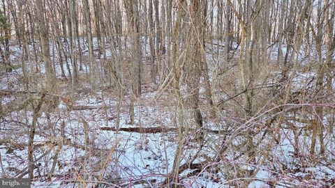 Vacant Land For Sale - Foxglove Road<br/> Blair County, ALTOONA, PA 16601