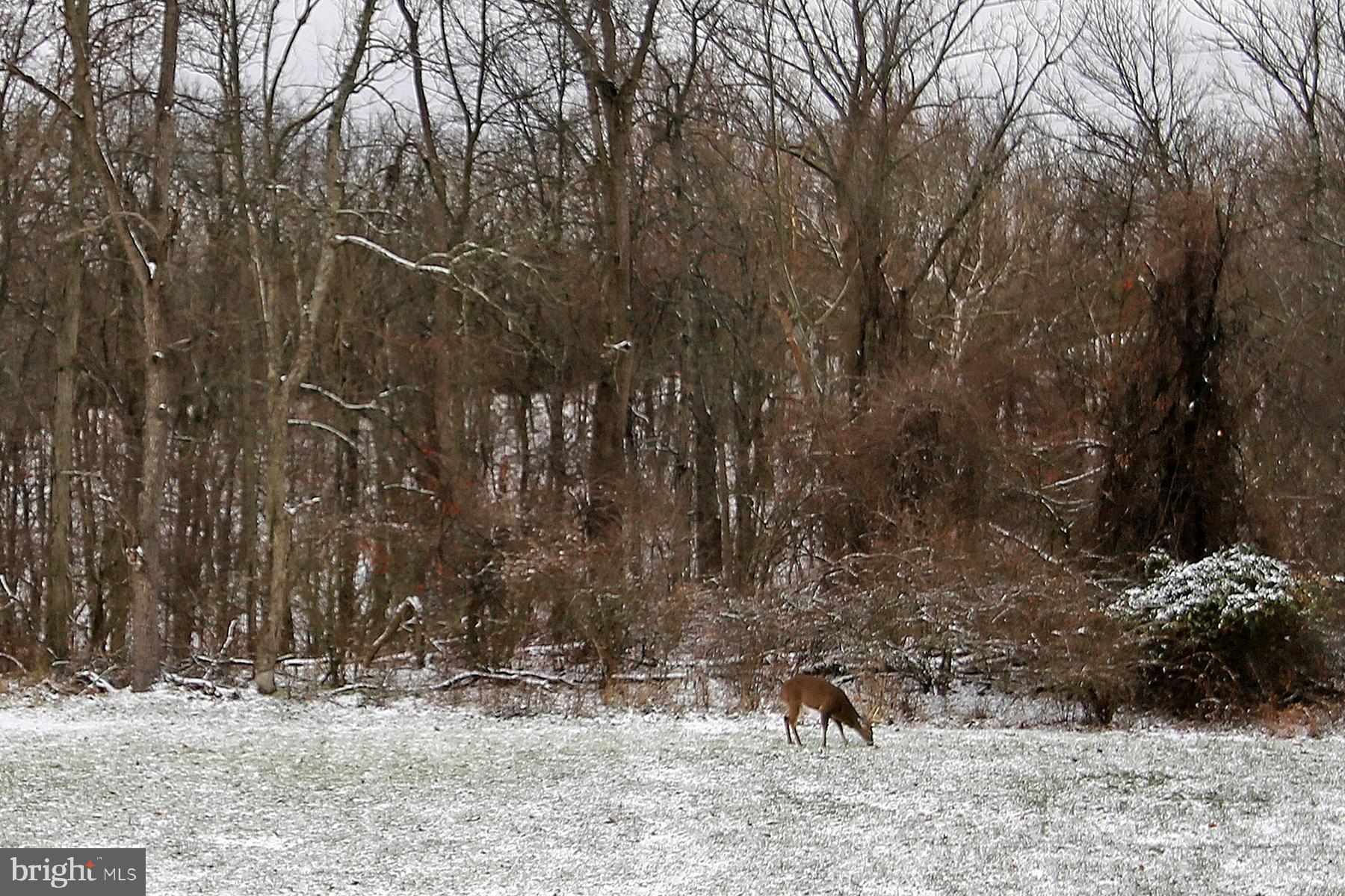 STRAY WINDS FARM - Residential