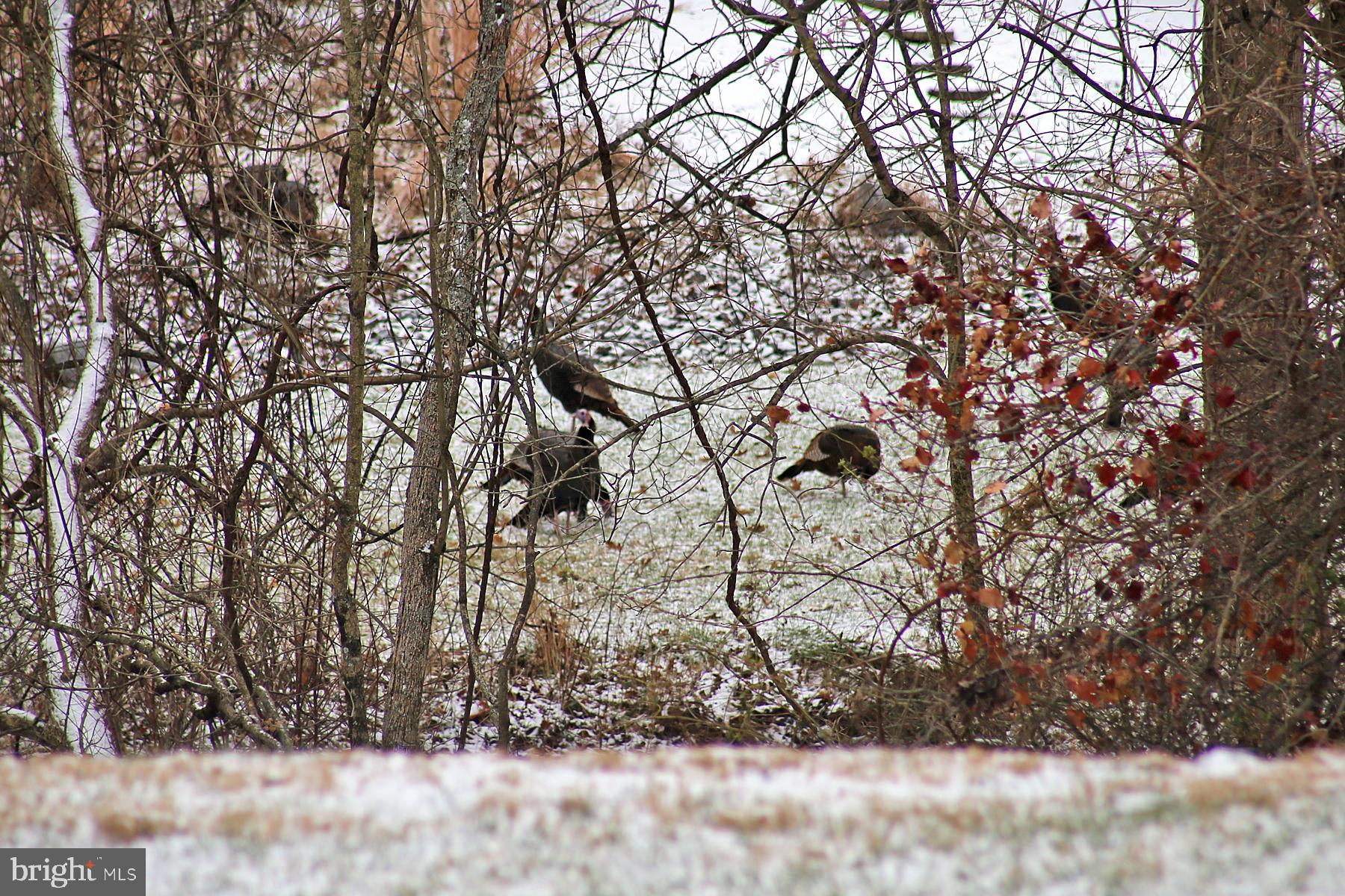 STRAY WINDS FARM - Residential
