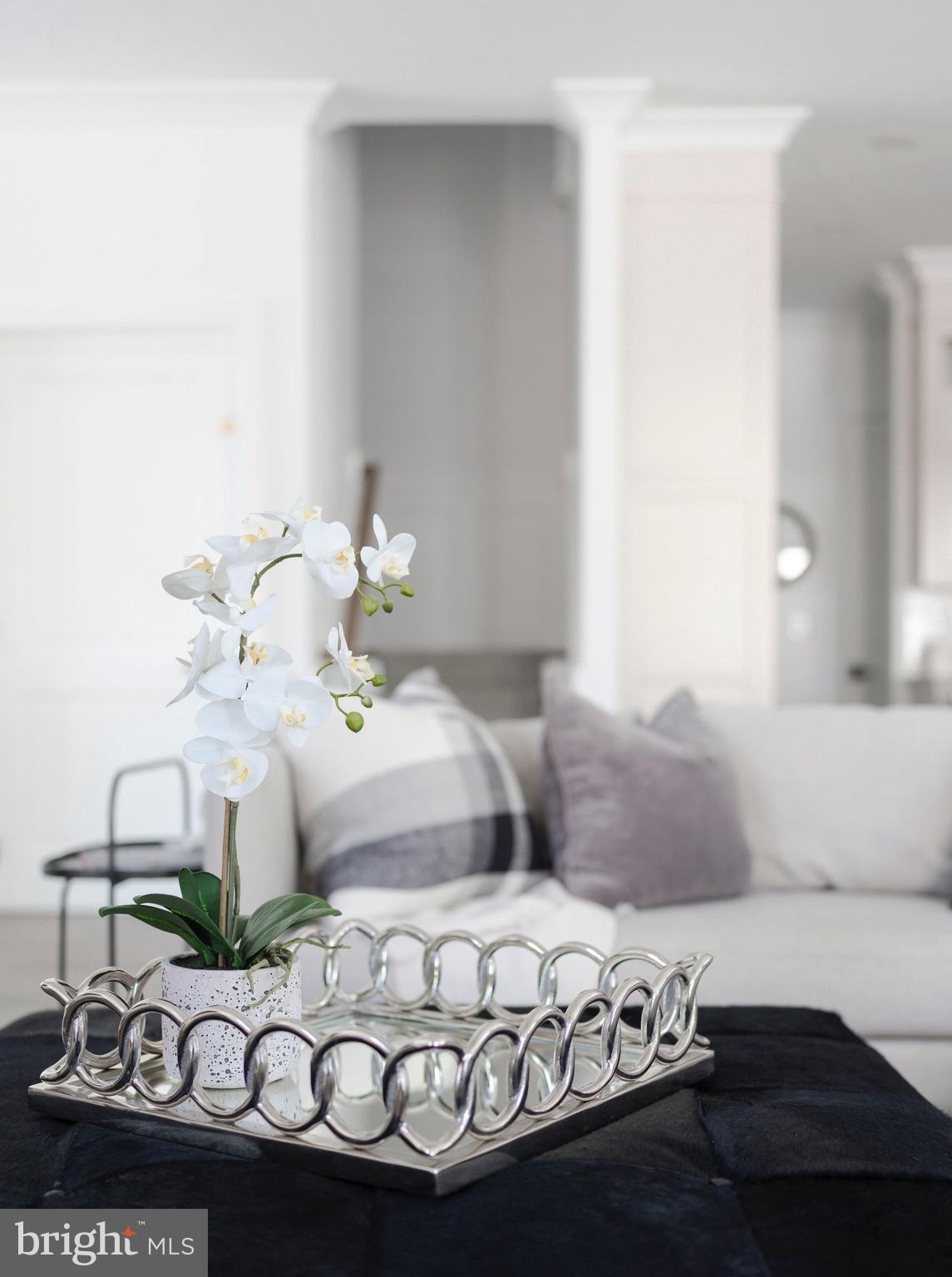 RABBIT RUN CREEK - Residential