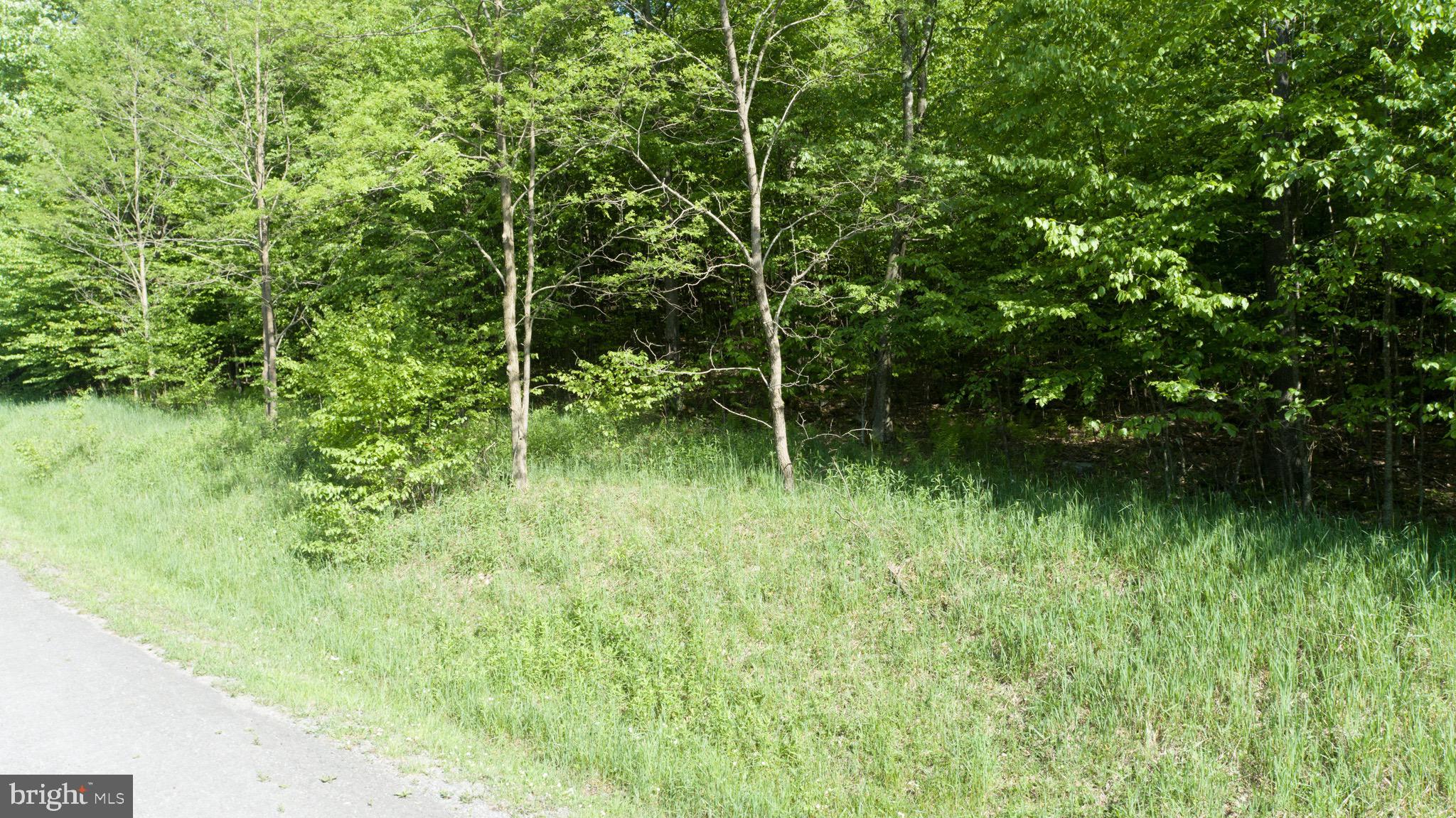 Amazing Ski Access building lot in North Camp subdivision - Located on the private cul-de-sac that offers ski access to Chair 7 and Ace's Run at Wisp Resort! Over half an acre of sloped building space, perfect for a walk-out basement. Seasonal mountain views overlooking the slopes. Public utilities to site and ready for your dream home. If you're looking for a serine ski access homesite, that is right in the heart of Deep Creek Lake, but tucked away from seasonal traffic - be sure to call today!