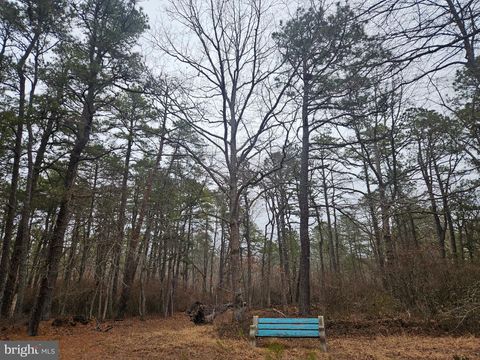 Vacant Land For Sale - Deerwood Avenue<br/> Cumberland County, MILMAY, NJ 08340