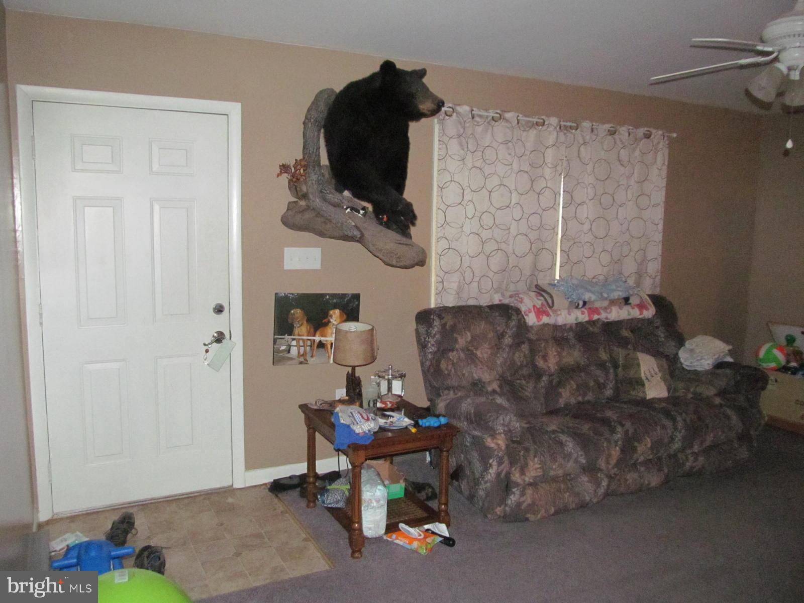 PAINTER - Residential