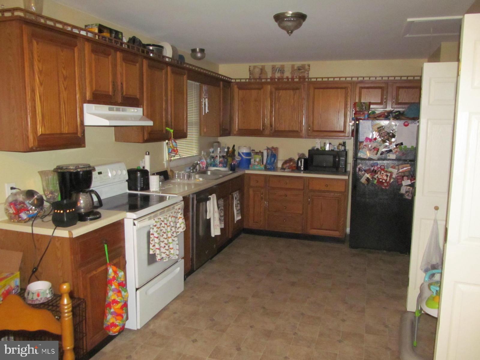 PAINTER - Residential