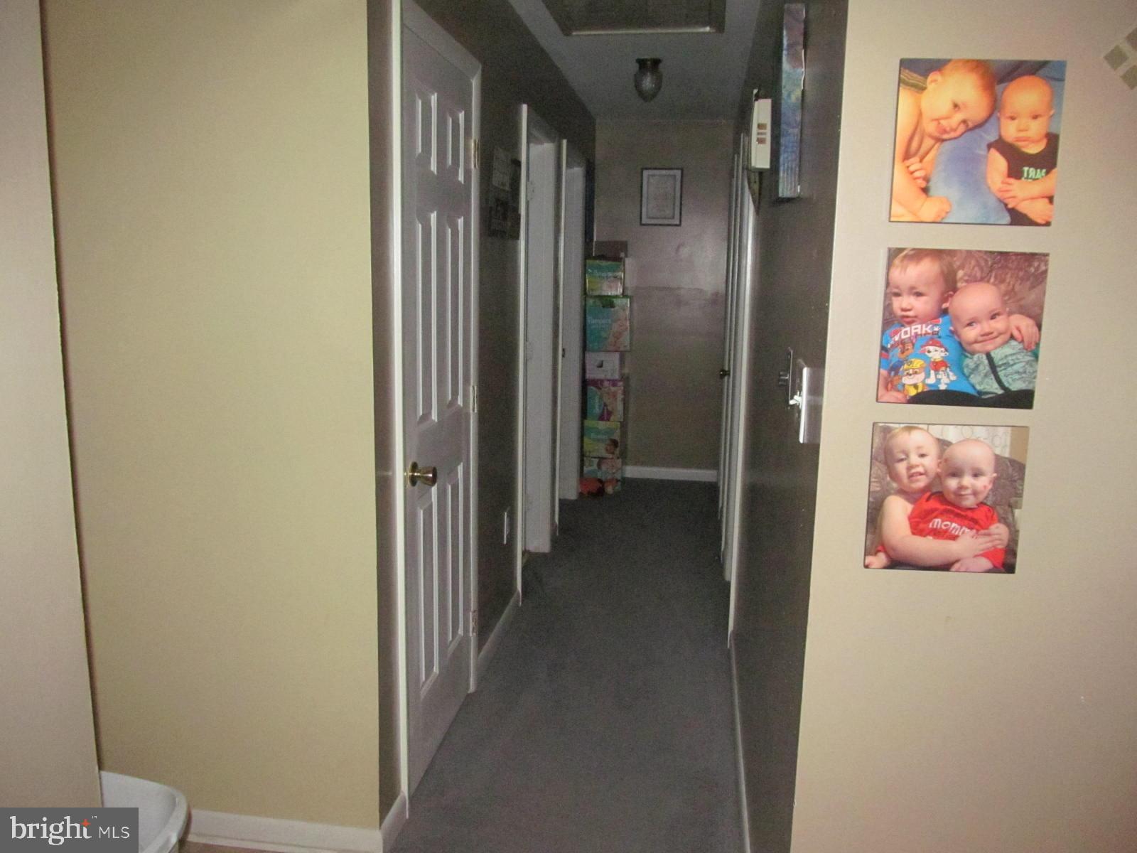 PAINTER - Residential