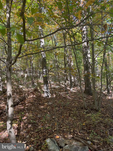Vacant Land For Sale - Fox Trail<br/> Frederick County, WINCHESTER, VA 22602