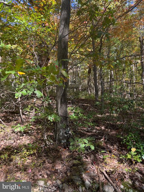 Vacant Land For Sale - Fox Trail<br/> Frederick County, WINCHESTER, VA 22602